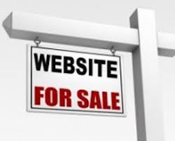 advantages of ready made websites