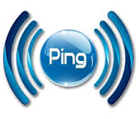 Top ways to Ping your website