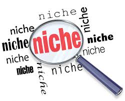 choosing-blogging-niche